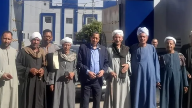 النص البديل