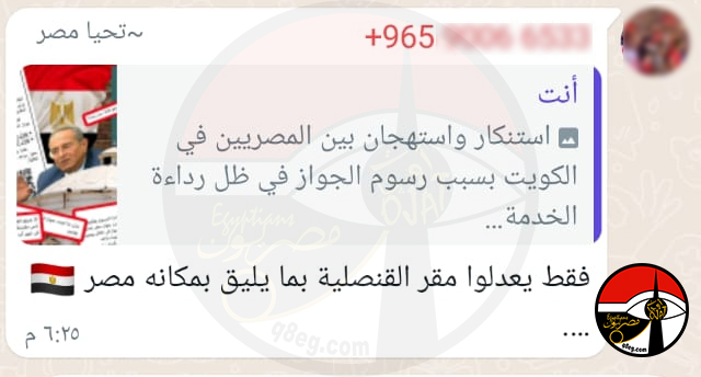 الجاليات المصرية تستنكر زيادة رسوم الجوازات