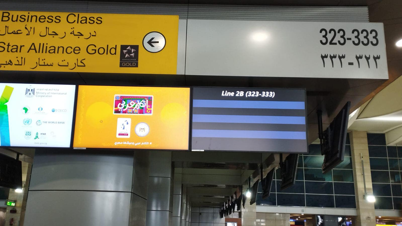 دعم وزارة الطيران للمبادرة الرئاسية "اتكلم عربي"