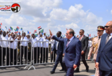 وصول الرئيس السيسي إلى تنزانيا واستقبال رسمي في دار السلام