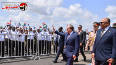 وصول الرئيس السيسي إلى تنزانيا واستقبال رسمي في دار السلام